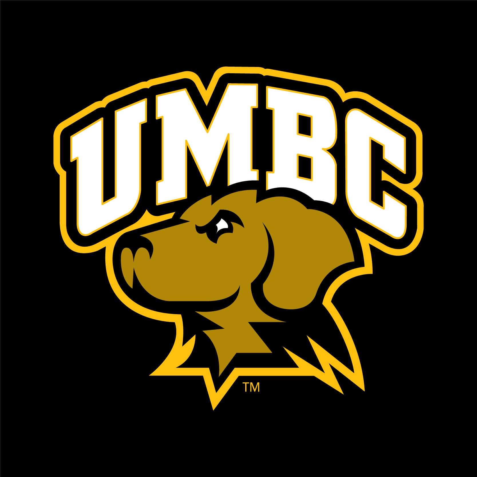 UMBC Basketball Logo