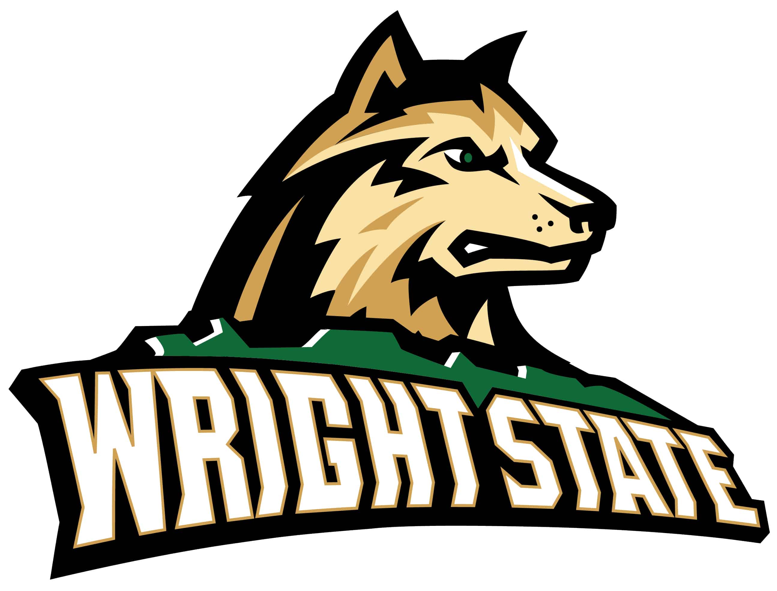 Wright State Basketball Logo