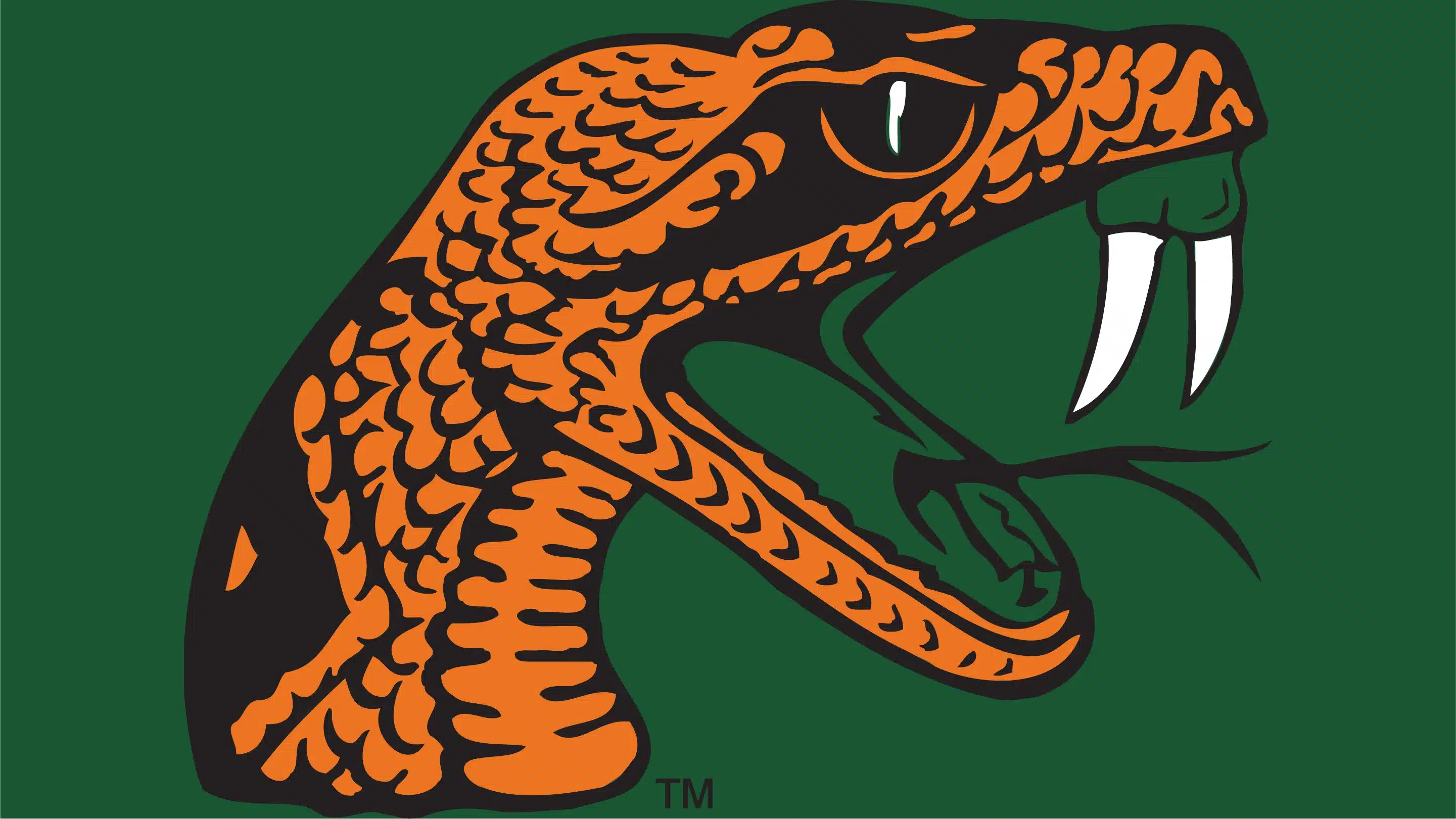 Florida A&M basketball logo