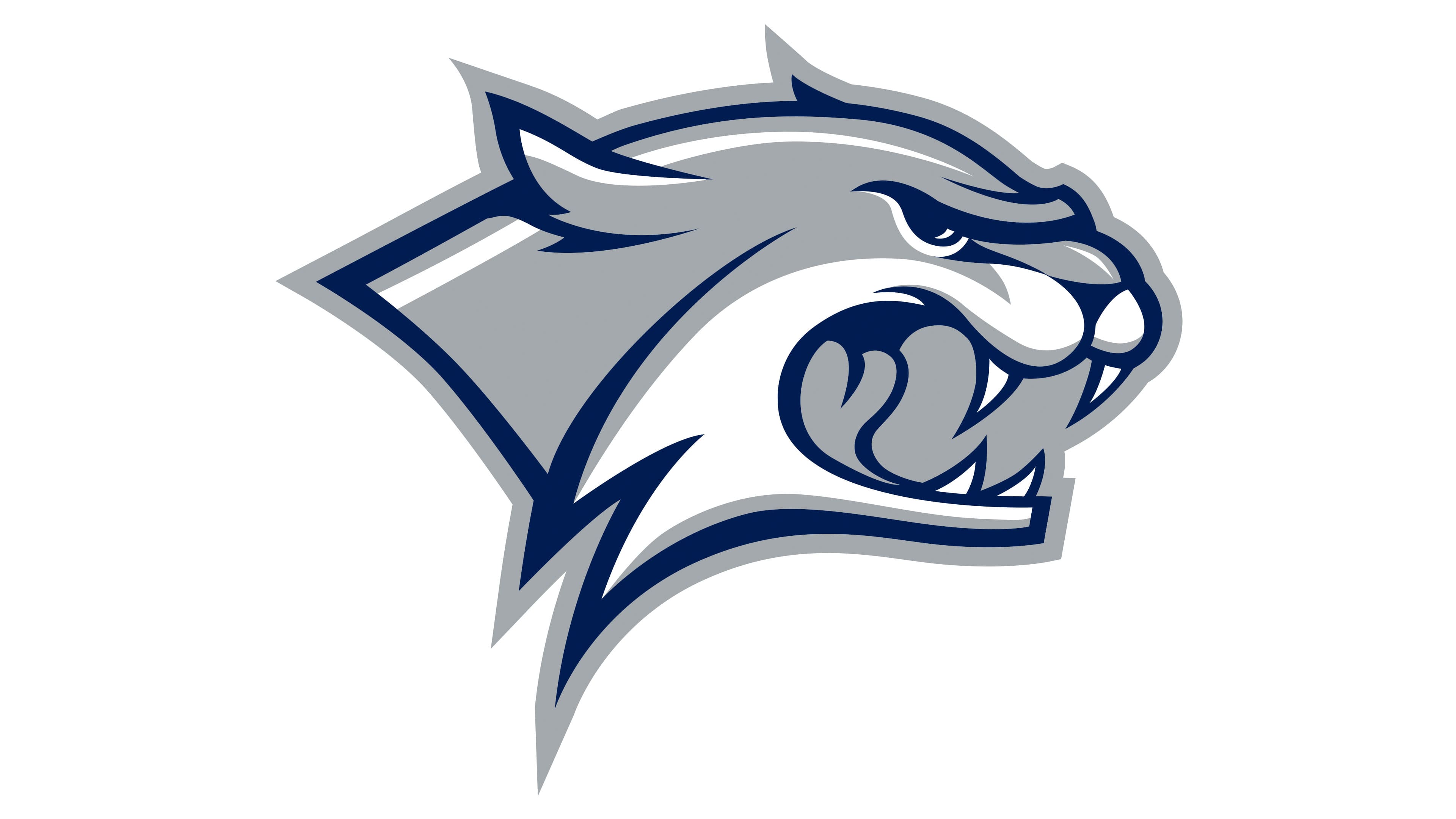 New Hampshire basketball logo