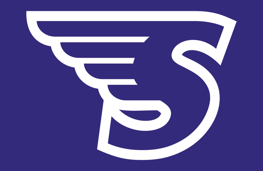 Stonehill basketball logo