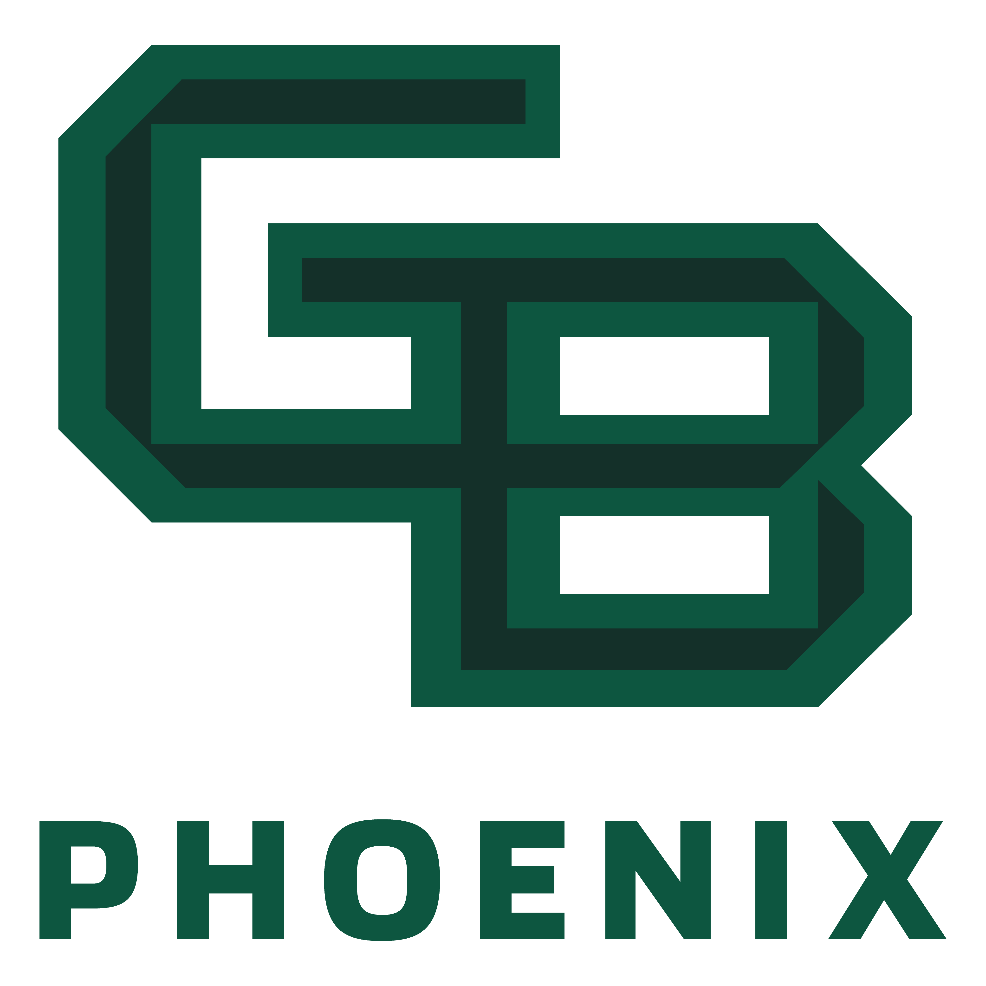 Green Bay basketball logo