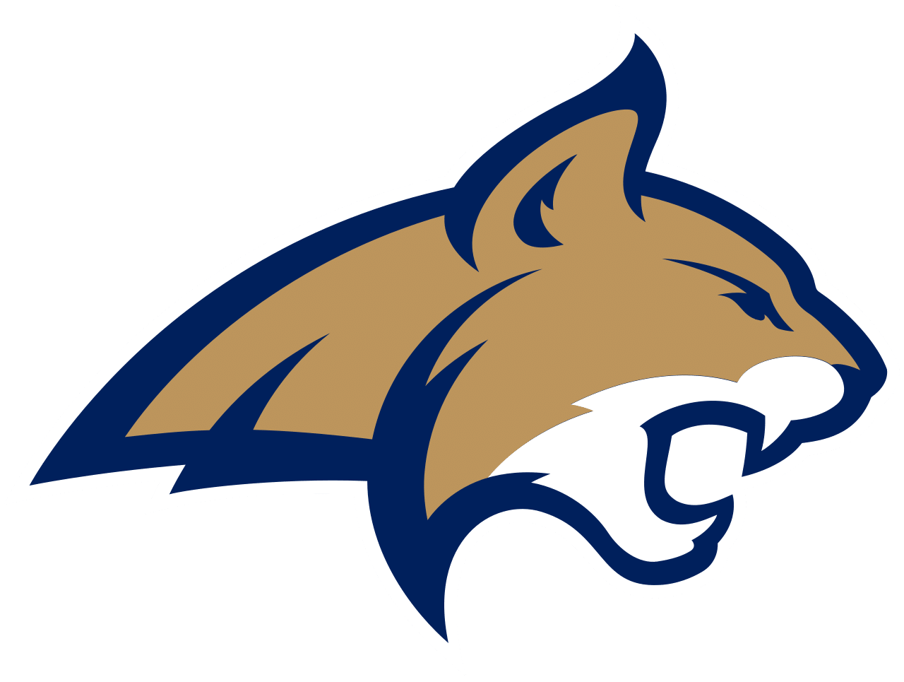 Montana State basketball logo