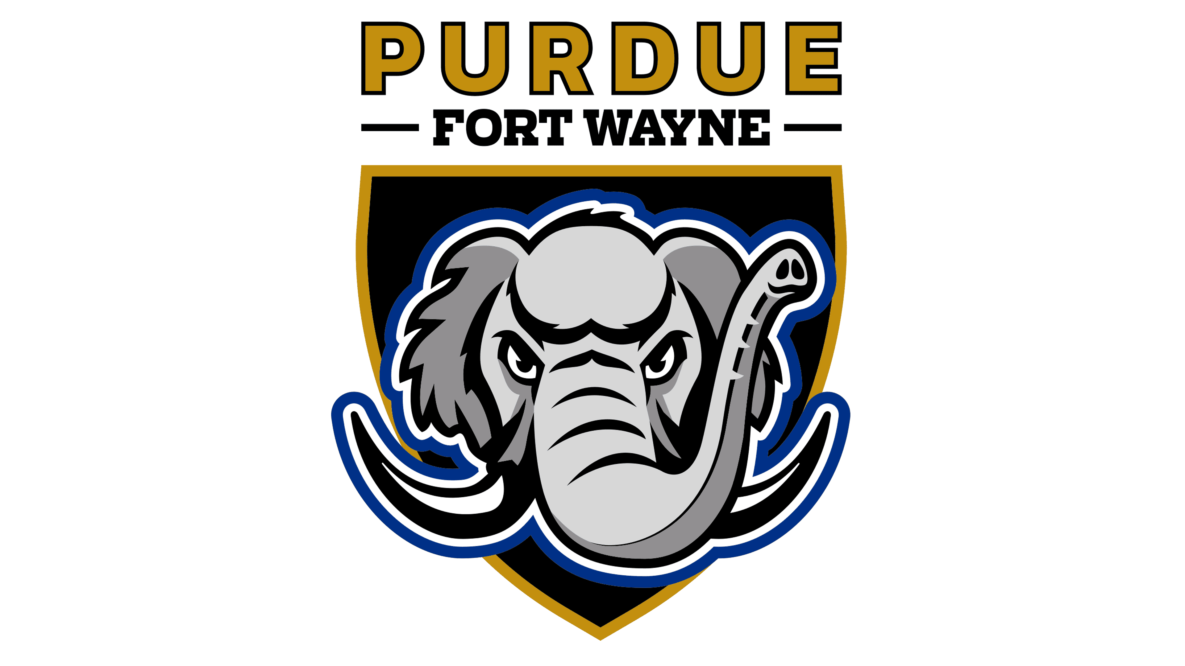 Purdue Fort Wayne basketball logo