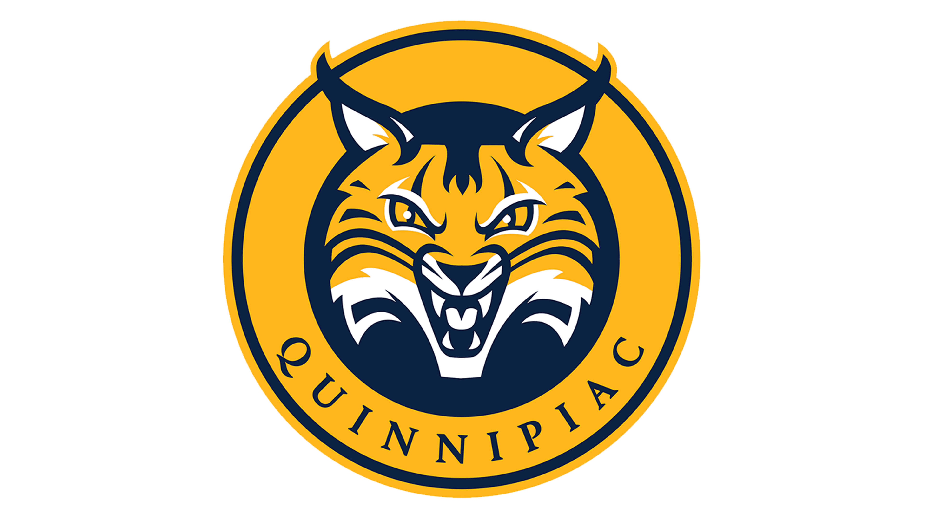 Quinnipiac basketball logo