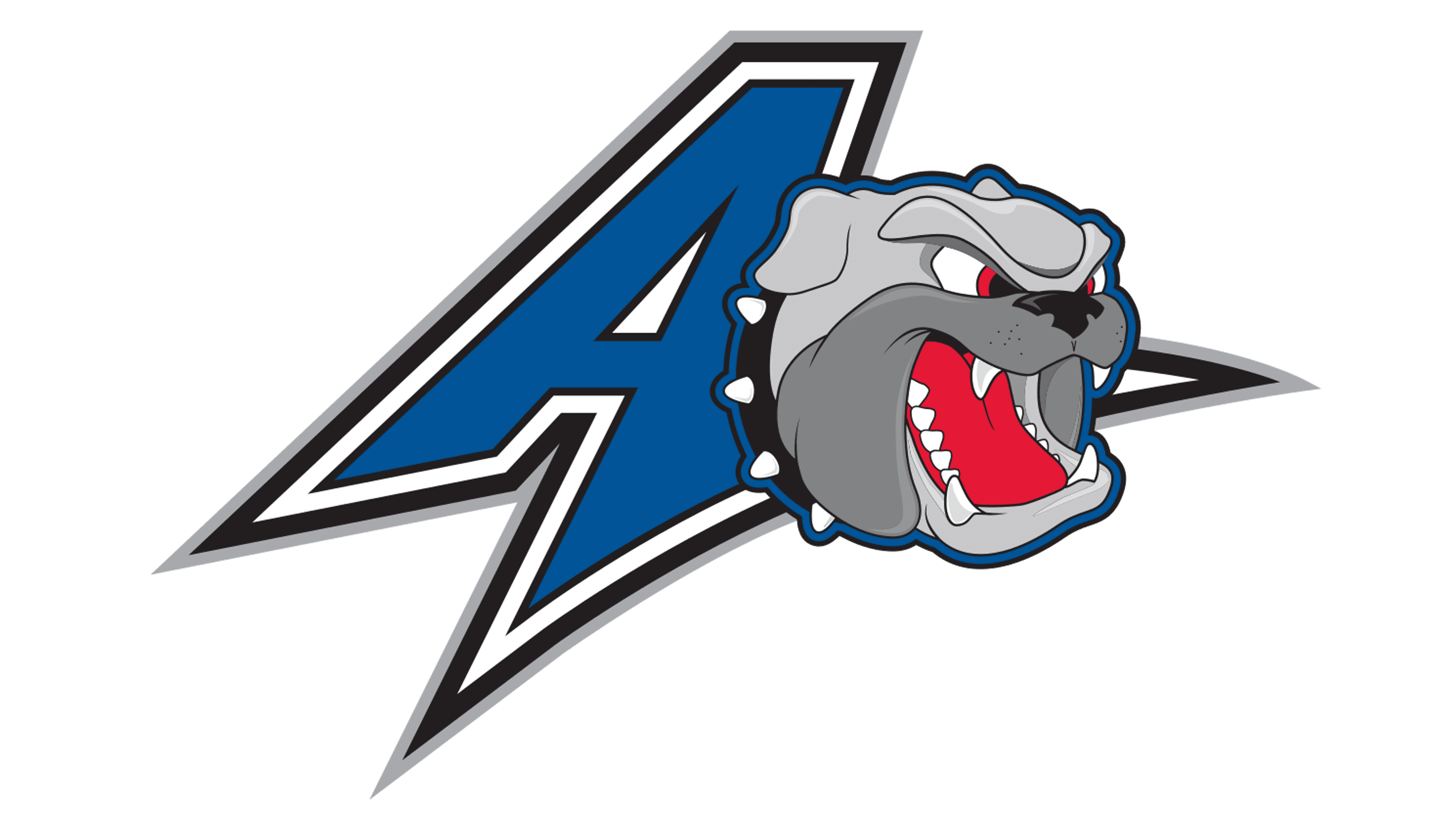 UNC Asheville basketball logo
