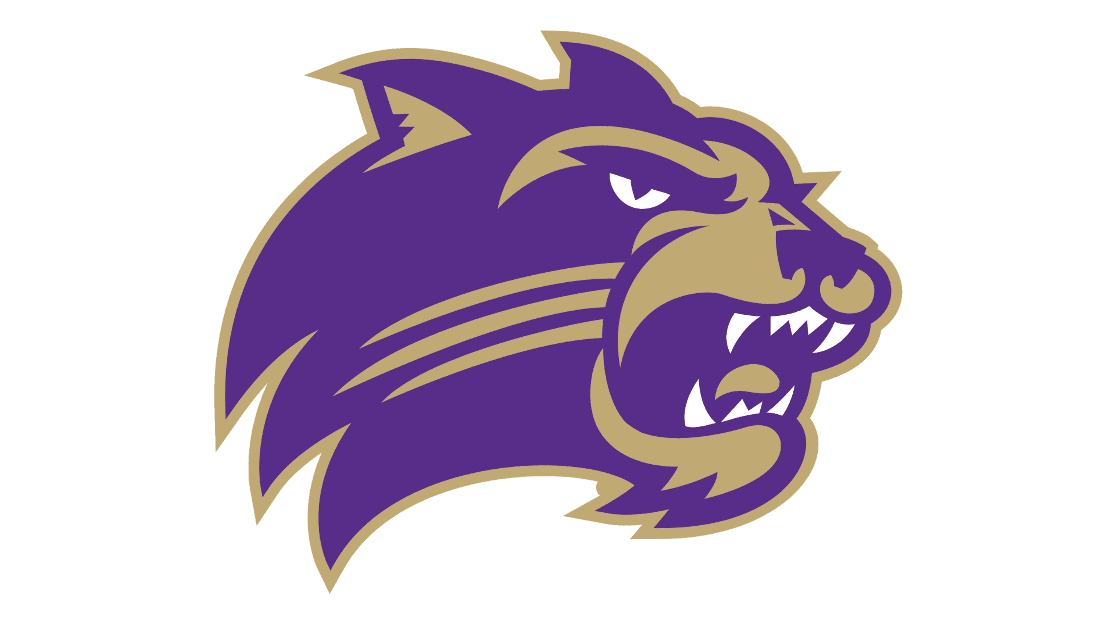 Western Carolina basketball logo