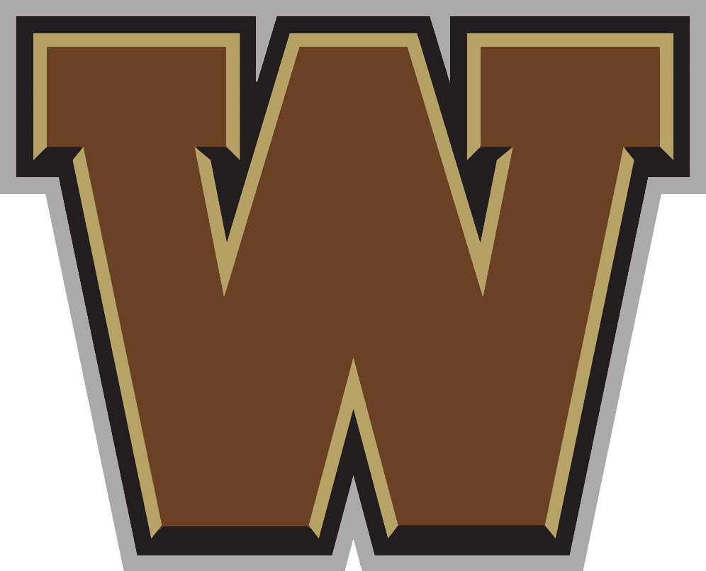 Western Michigan basketball logo