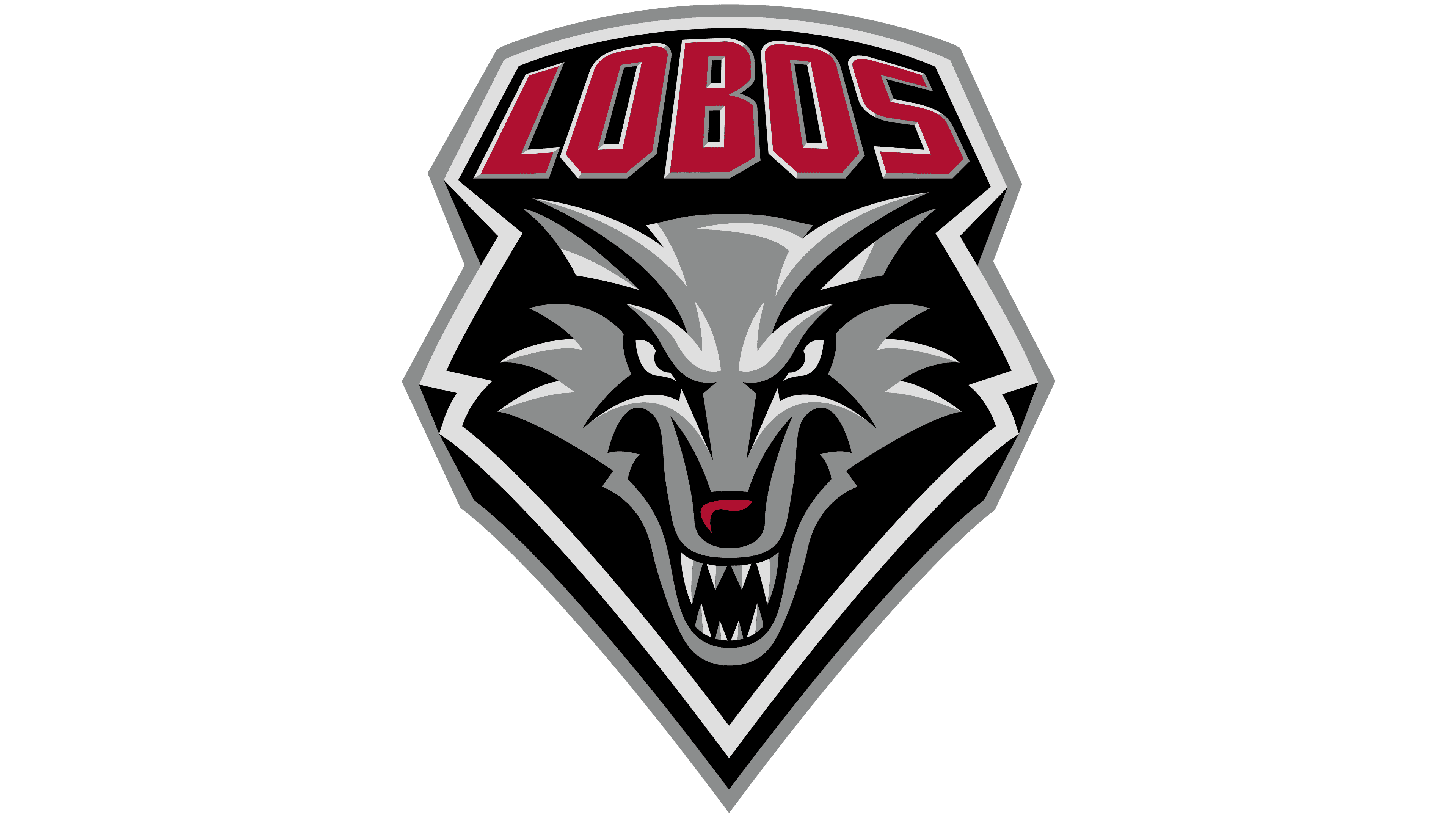 New Mexico basketball logo