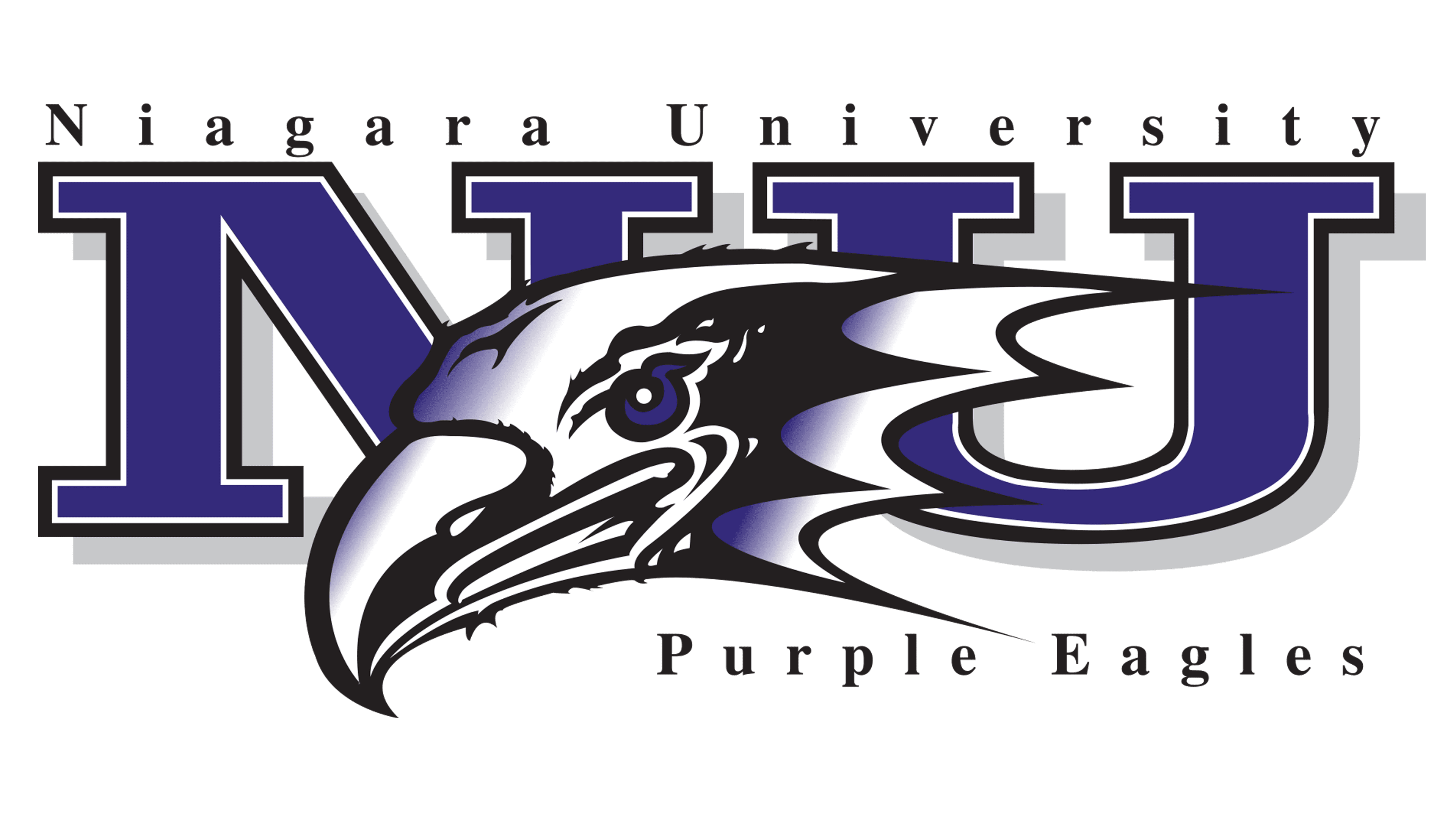 Niagara basketball logo
