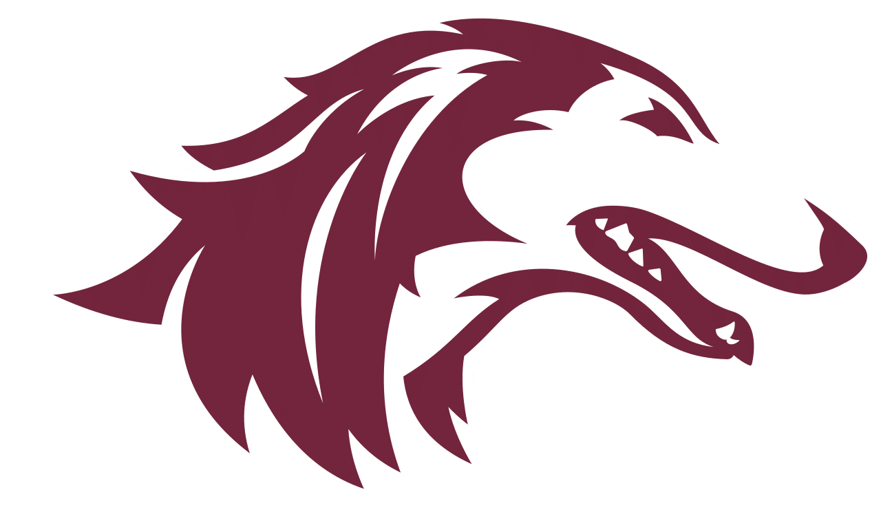 Southern Illinois basketball logo