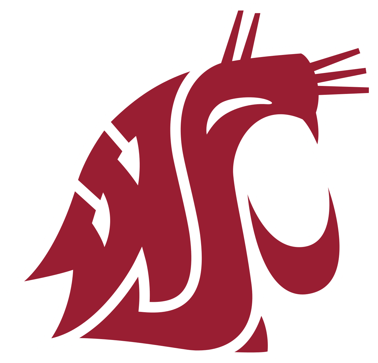 Washington State basketball logo