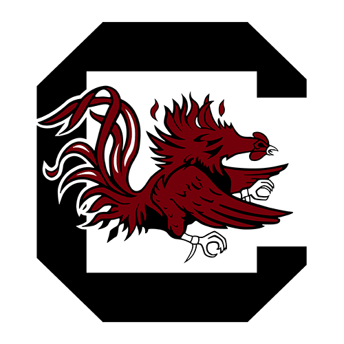 South Carolina Basketball Logo